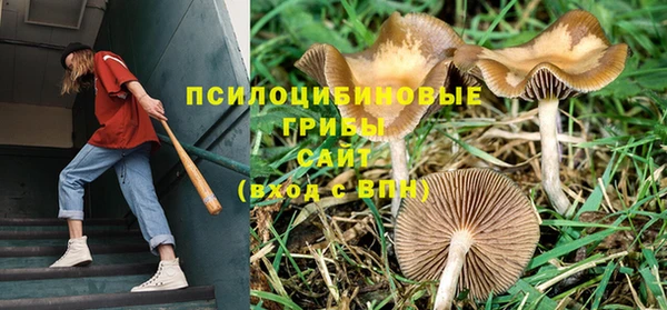 мет Баксан