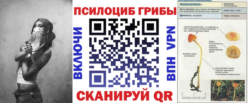 Галлюциногенные грибы MAGIC MUSHROOMS хочу Короча